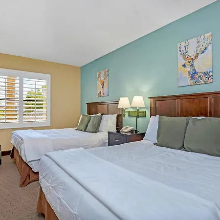 Spacious Queen Suite Near Universal Pool & Hot Tub